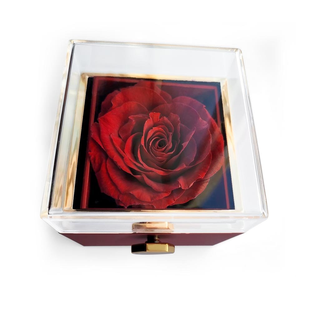Mother's Day Single Mom Necklace Gift from Daughter in Luxury Box - Sentimental Gifting
