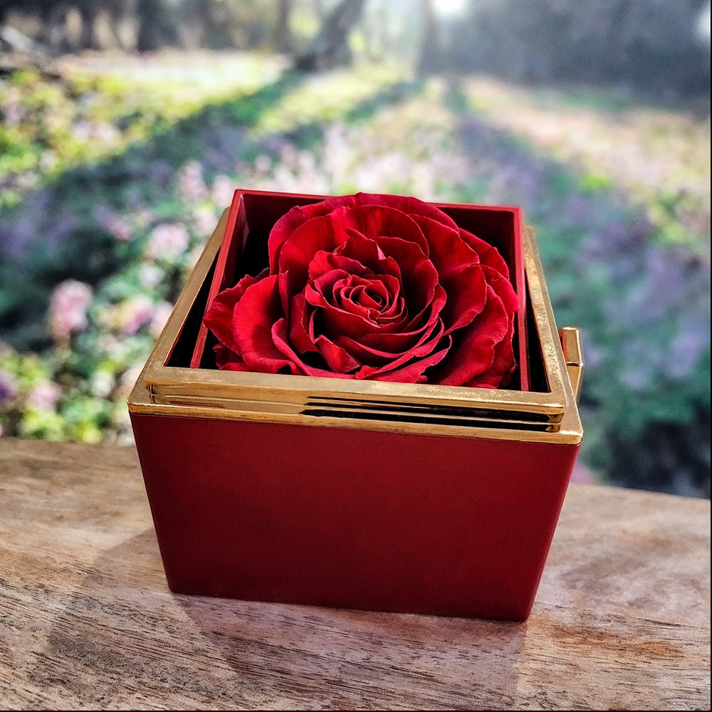Mother's Day Single Mom Necklace Gift from Daughter in Luxury Box - Sentimental Gifting
